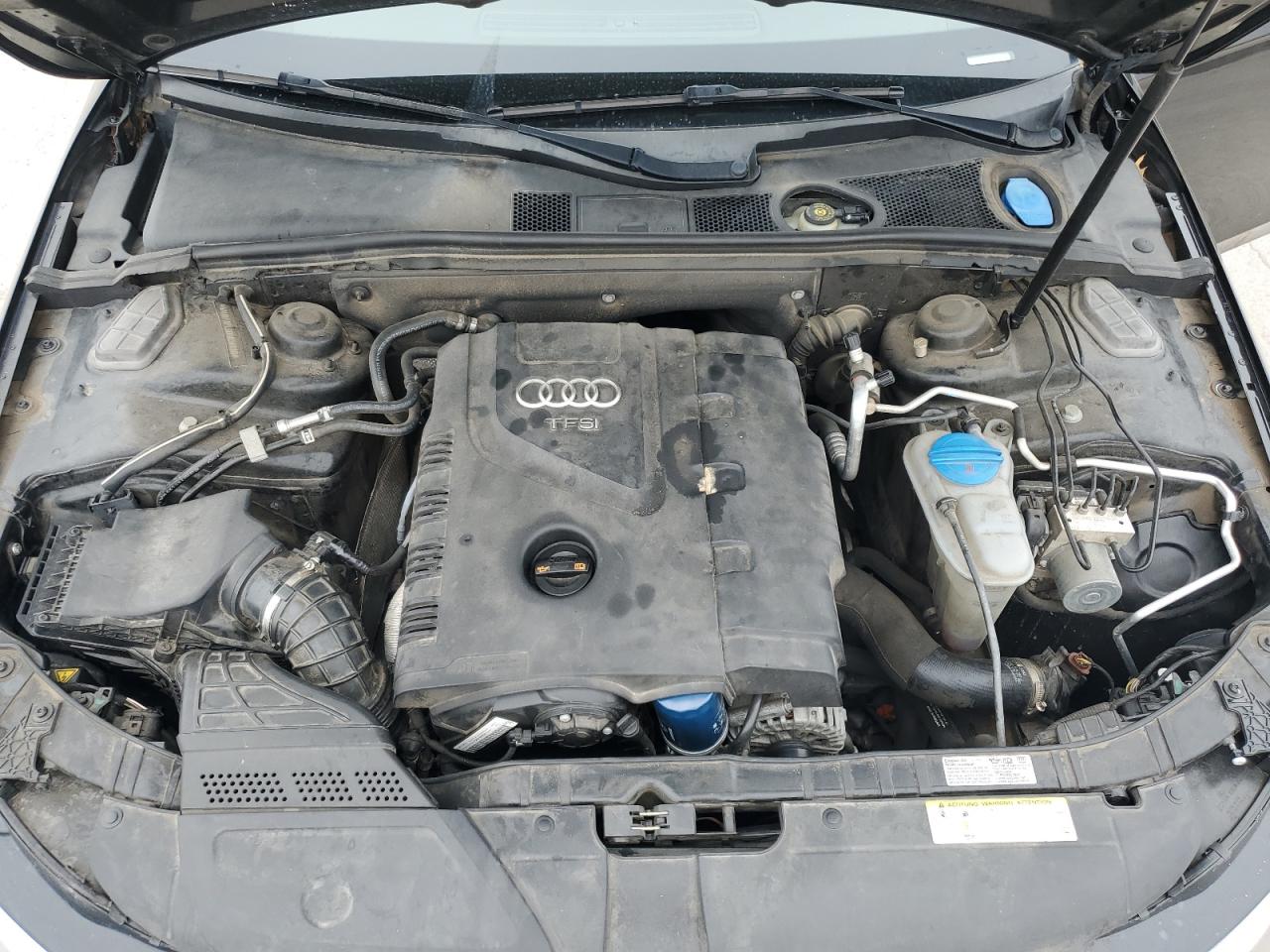 2013 Audi A4 Premium VIN: WAUBFAFL9DN036886 Lot: 71185255