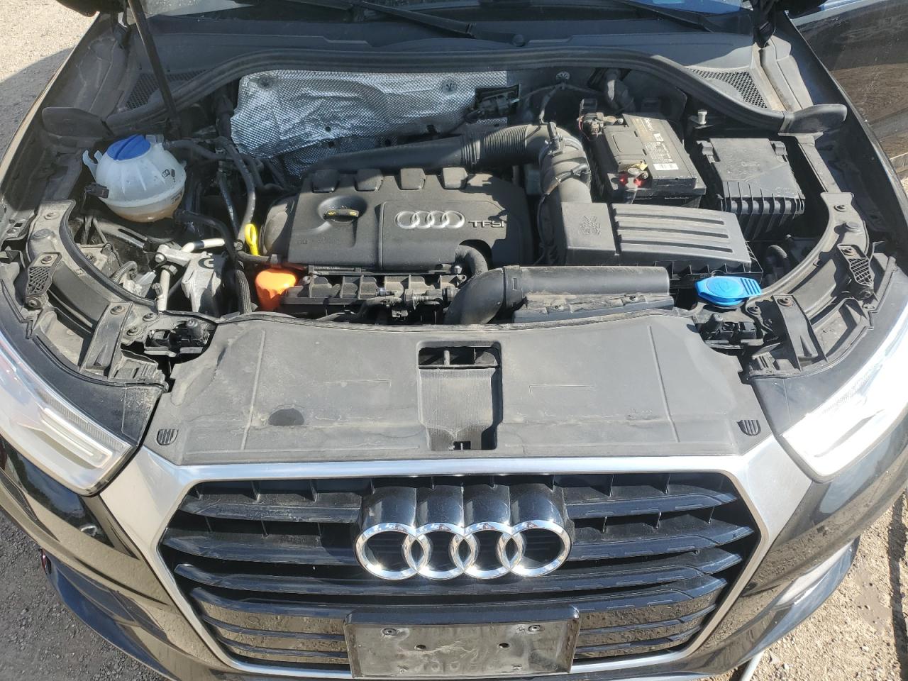 2017 Audi Q3 Premium VIN: WA1BCCFS7HR000184 Lot: 82086205