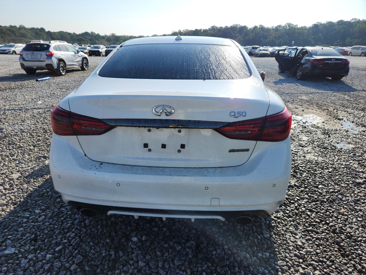 2021 Infiniti Q50 Sensory VIN: JN1EV7CP3MM706583 Lot: 81522545