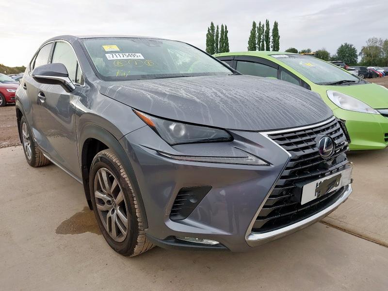 2019 LEXUS NX 300H CVT 
