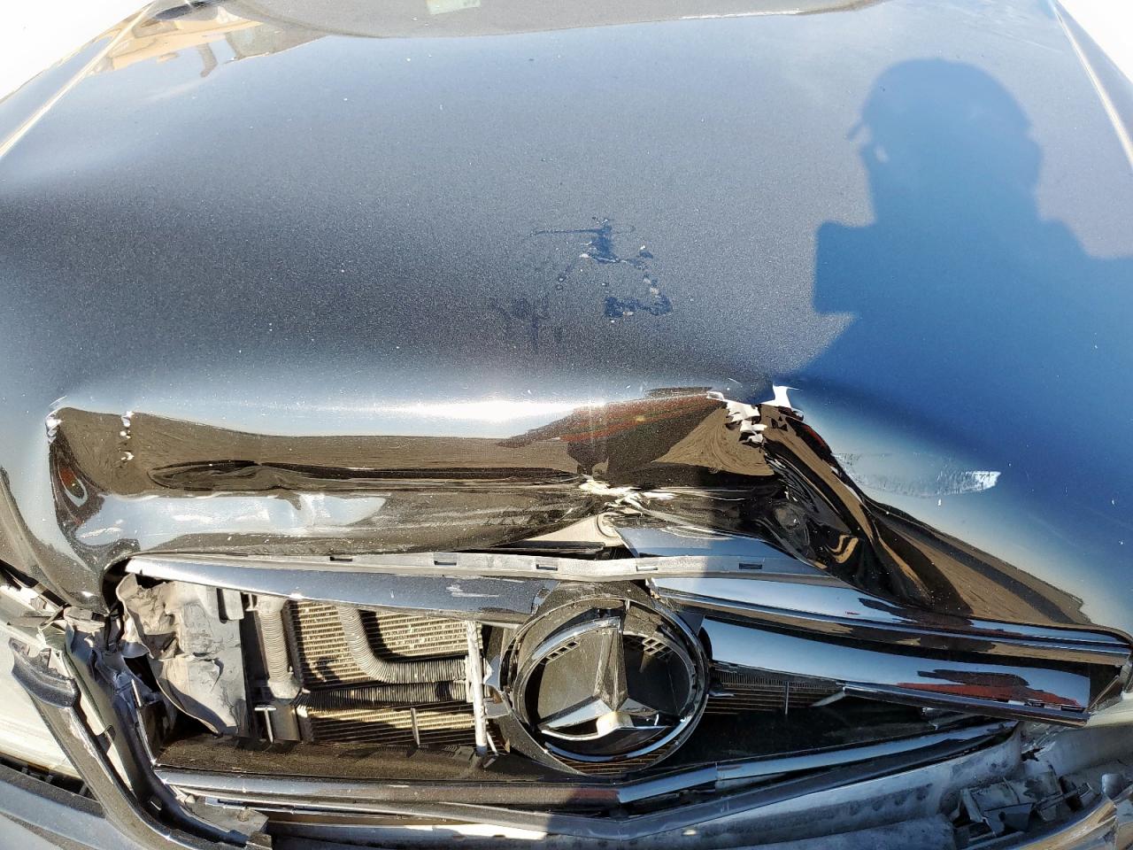 2013 Mercedes-Benz C 350 VIN: WDDGJ5HB7DG039900 Lot: 81491995