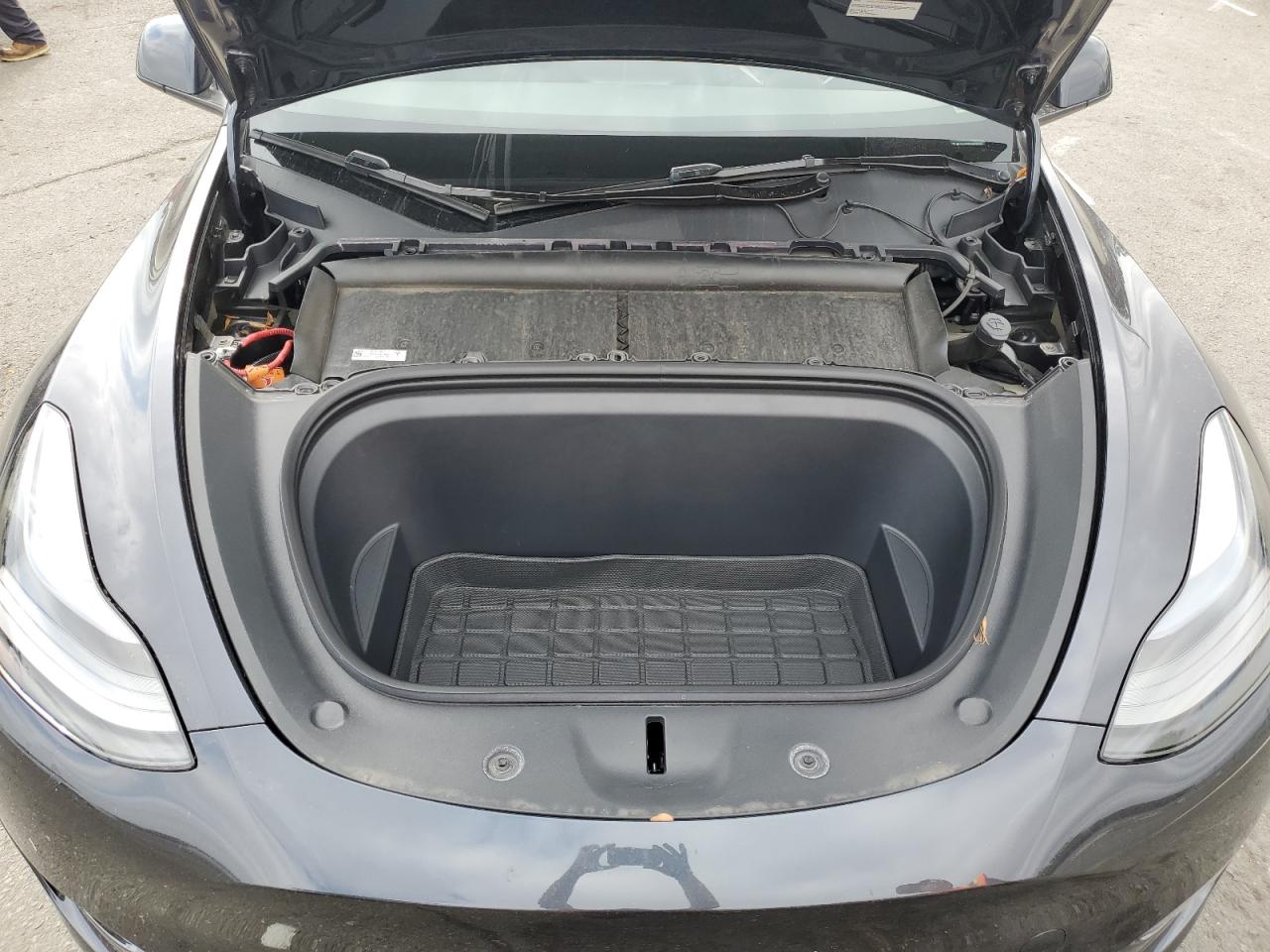 2024 Tesla Model Y VIN: 7SAYGDED3RF097682 Lot: 84194045