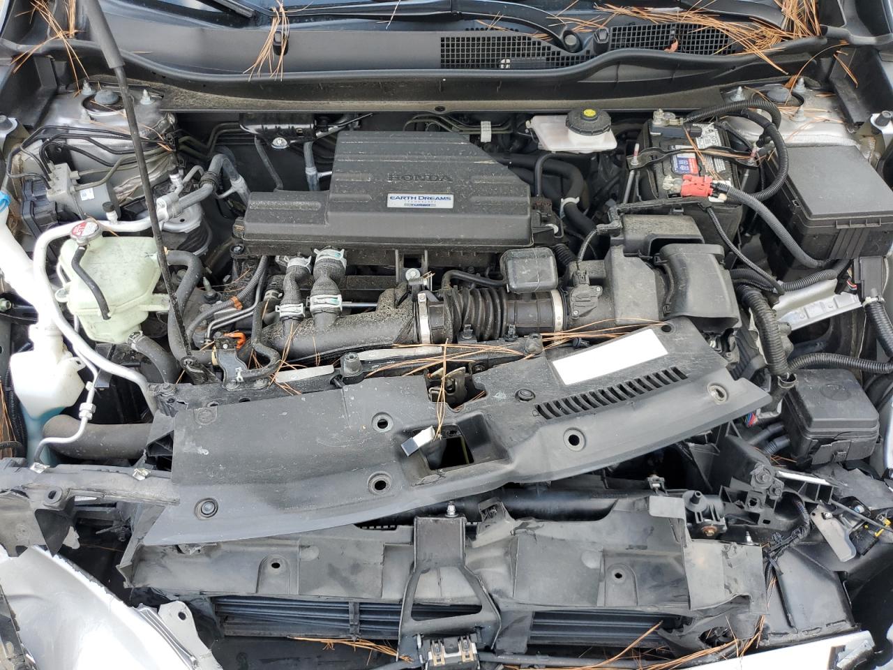 2019 Honda Cr-V Exl VIN: 5J6RW2H8XKA009503 Lot: 80698025