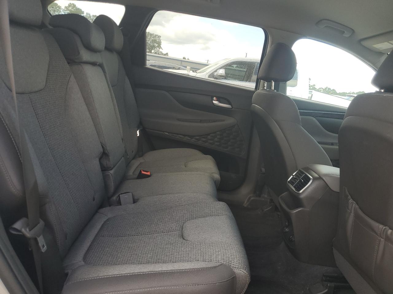 2020 Hyundai Santa Fe Sel VIN: 5NMS3CAD3LH231594 Lot: 80071735