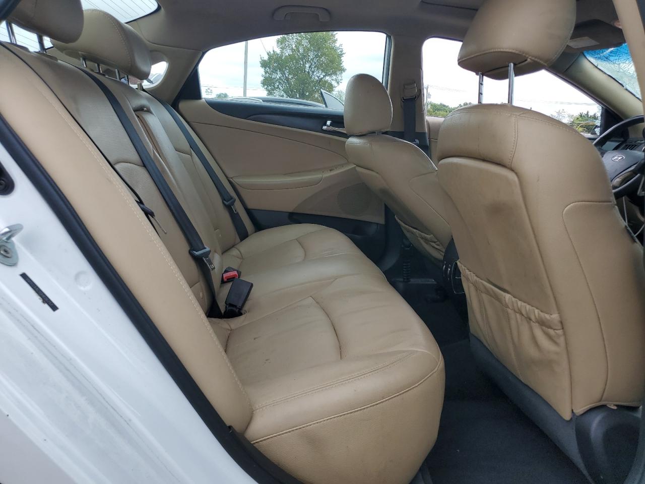 2013 Hyundai Sonata Se VIN: 5NPEC4AC1DH626257 Lot: 80023905