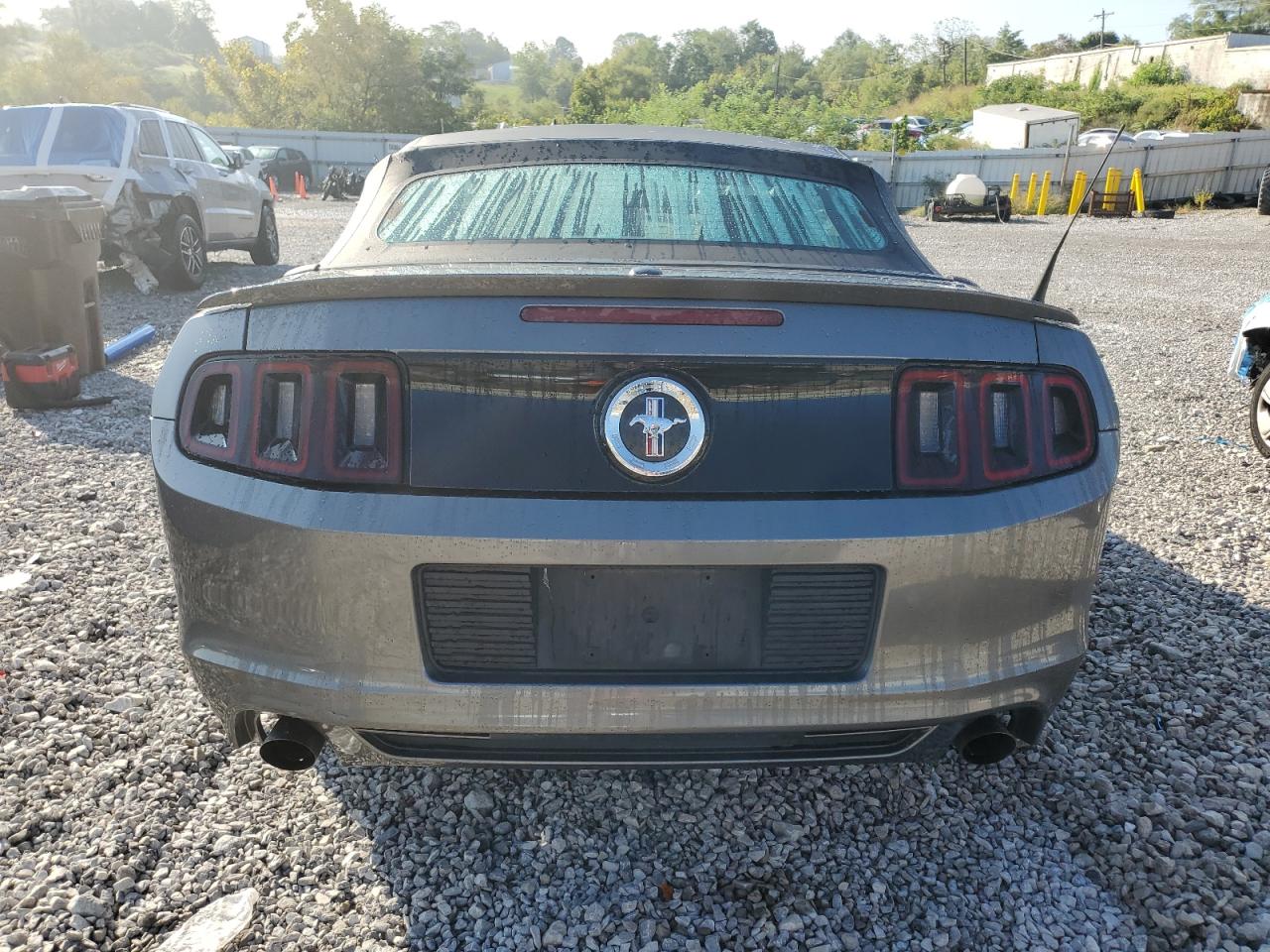 2013 Ford Mustang VIN: 1ZVBP8EM5D5261726 Lot: 84231275