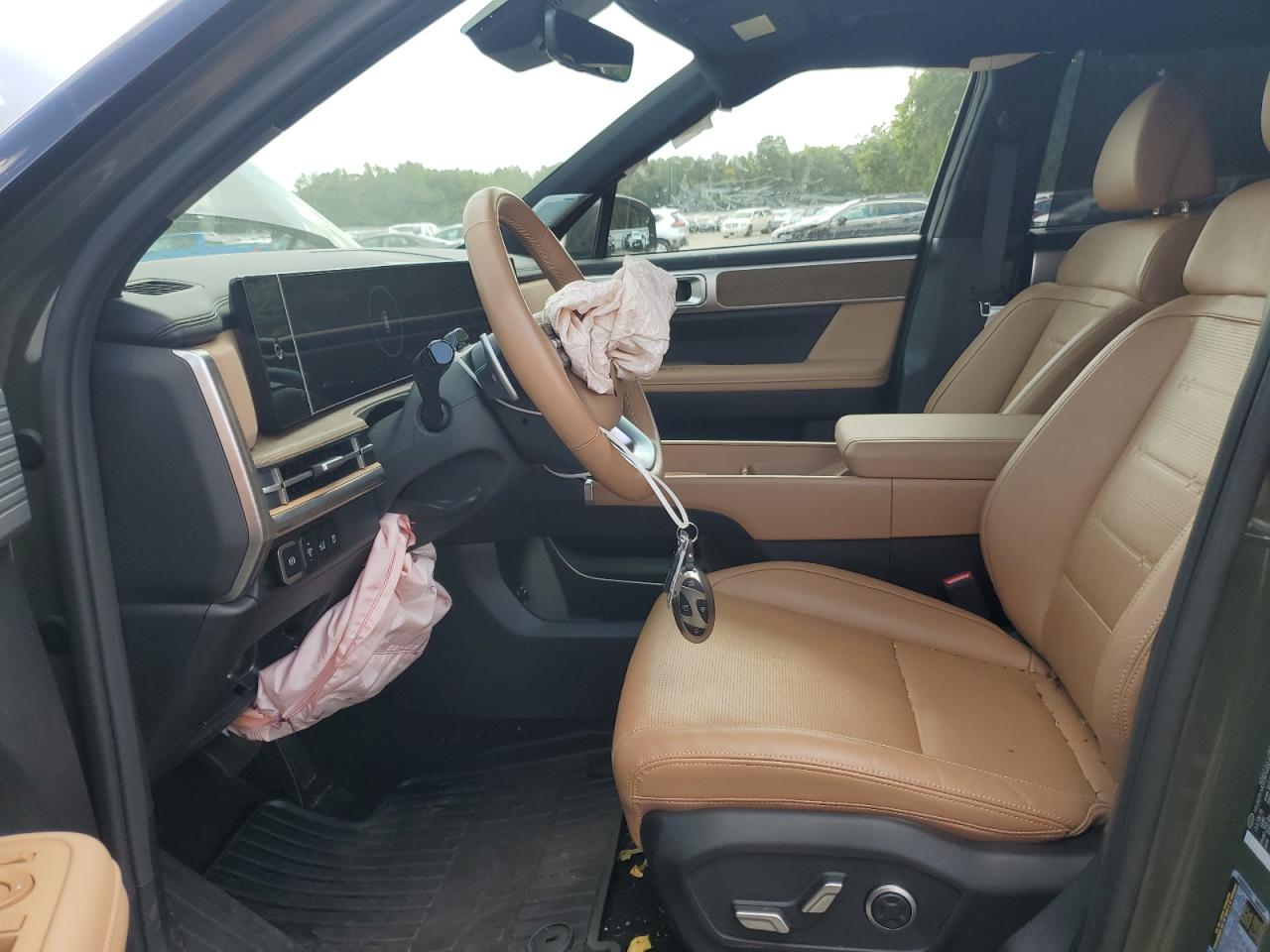 2025 Hyundai Santa Fe Limited VIN: 5NMP4DGL9SH091007 Lot: 80502435