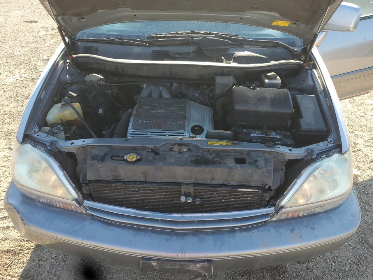 2001 Lexus Rx 300 VIN: JTJHF10U310231483 Lot: 81013915