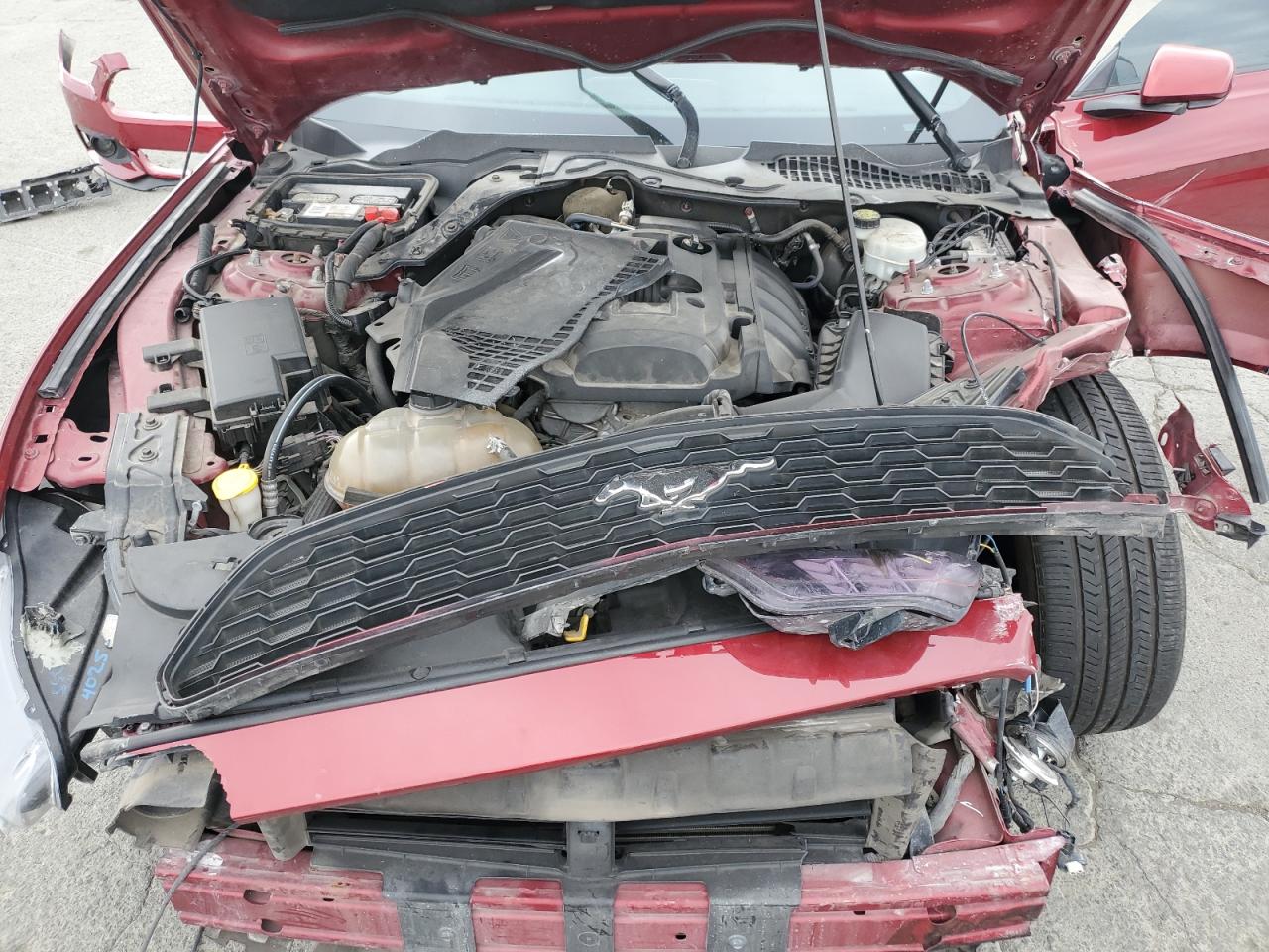 2017 Ford Mustang VIN: 1FA6P8THXH5269455 Lot: 81975775