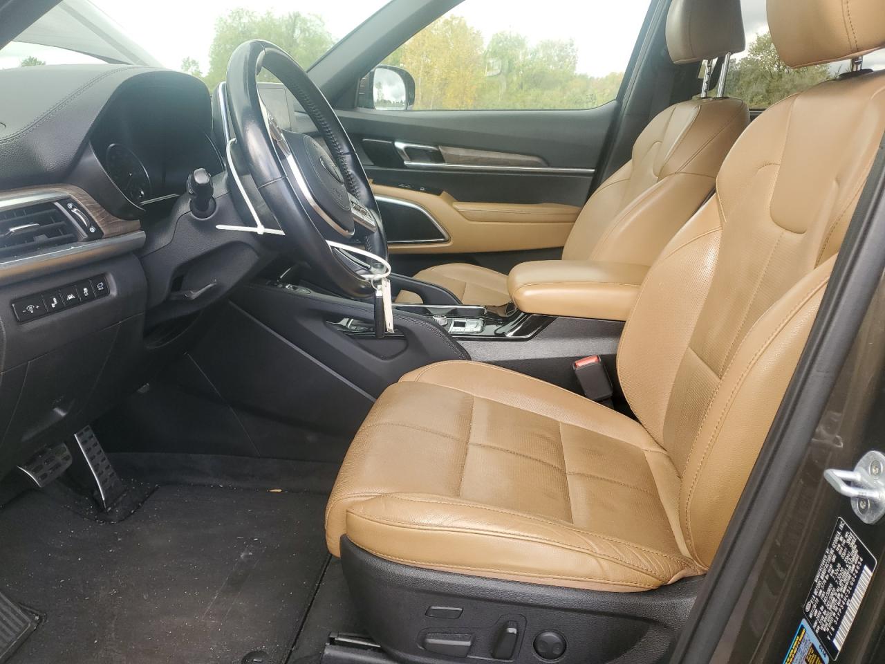 2020 Kia Telluride Sx VIN: 5XYP54HC5LG024654 Lot: 81451685