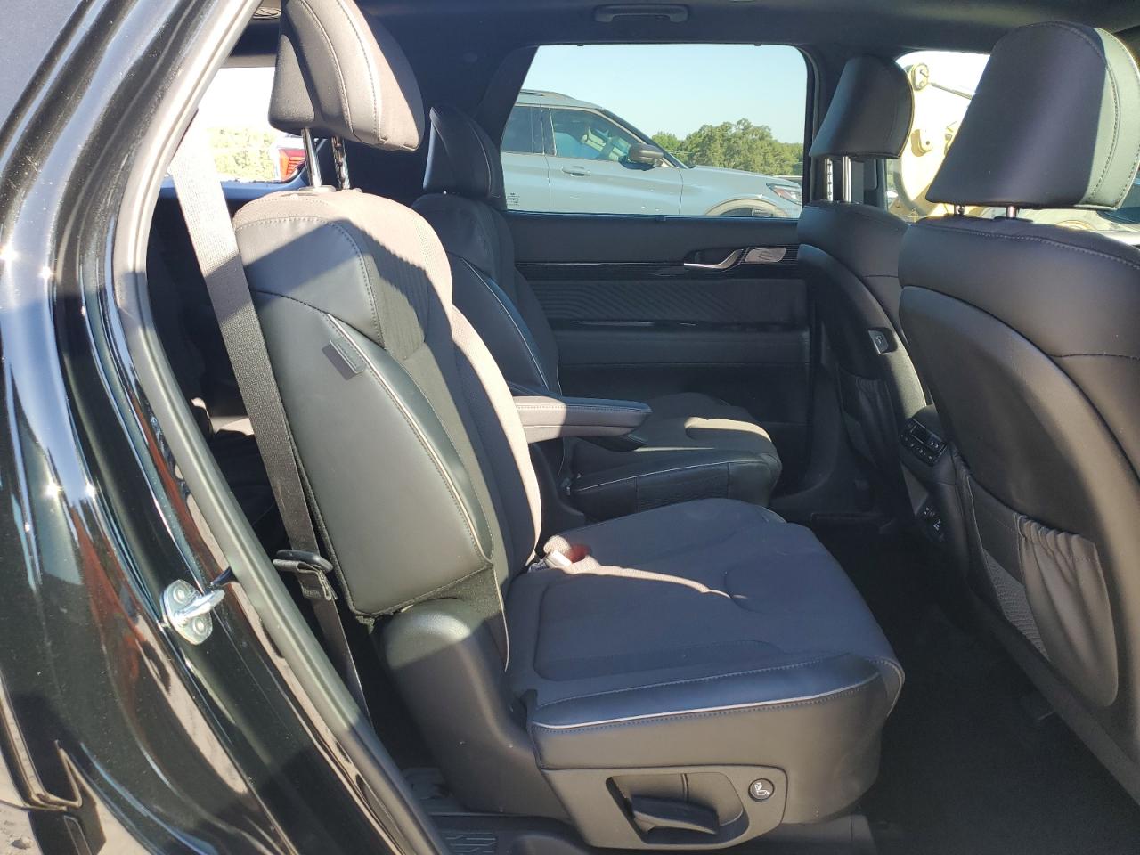 2024 Hyundai Palisade Calligraphy VIN: KM8R7DGE9RU771750 Lot: 71730845