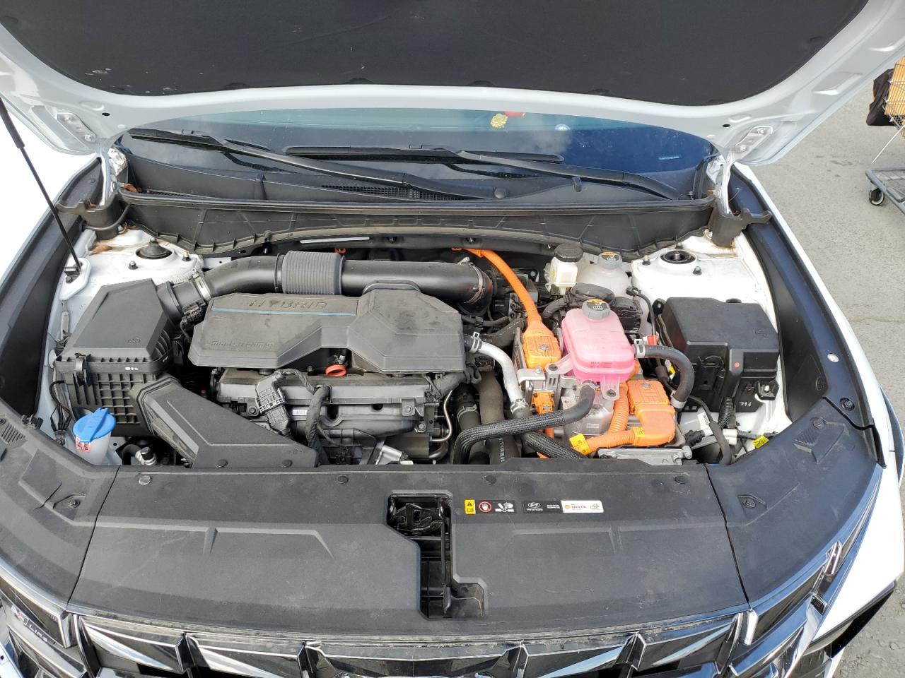 2024 Hyundai Tucson N Line VIN: KM8JFCD18RU166064 Lot: 84779415