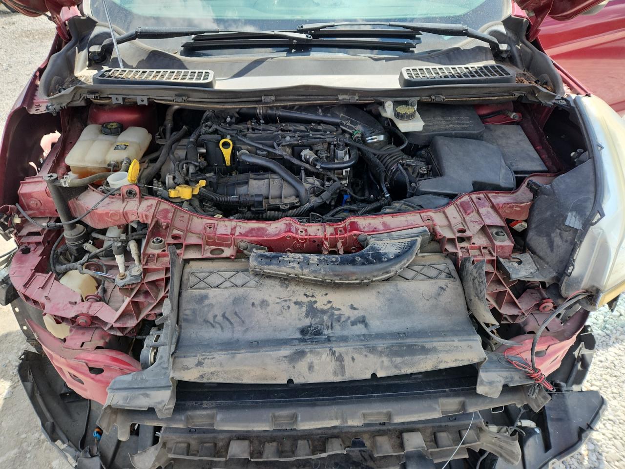 2013 Ford Escape Sel VIN: 1FMCU0HX6DUD89160 Lot: 81303375