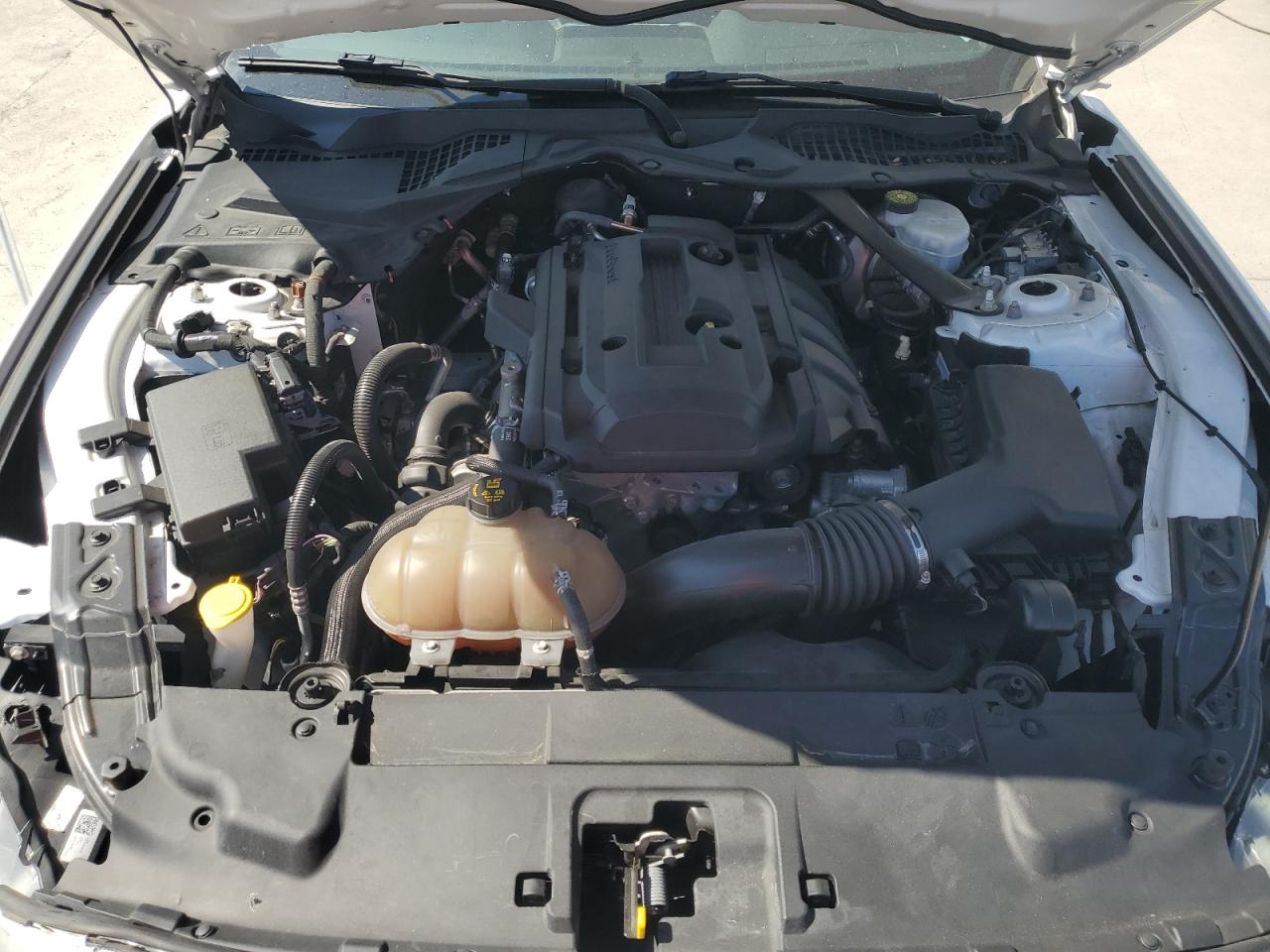 2019 Ford Mustang VIN: 1FATP8UH0K5170720 Lot: 81104355