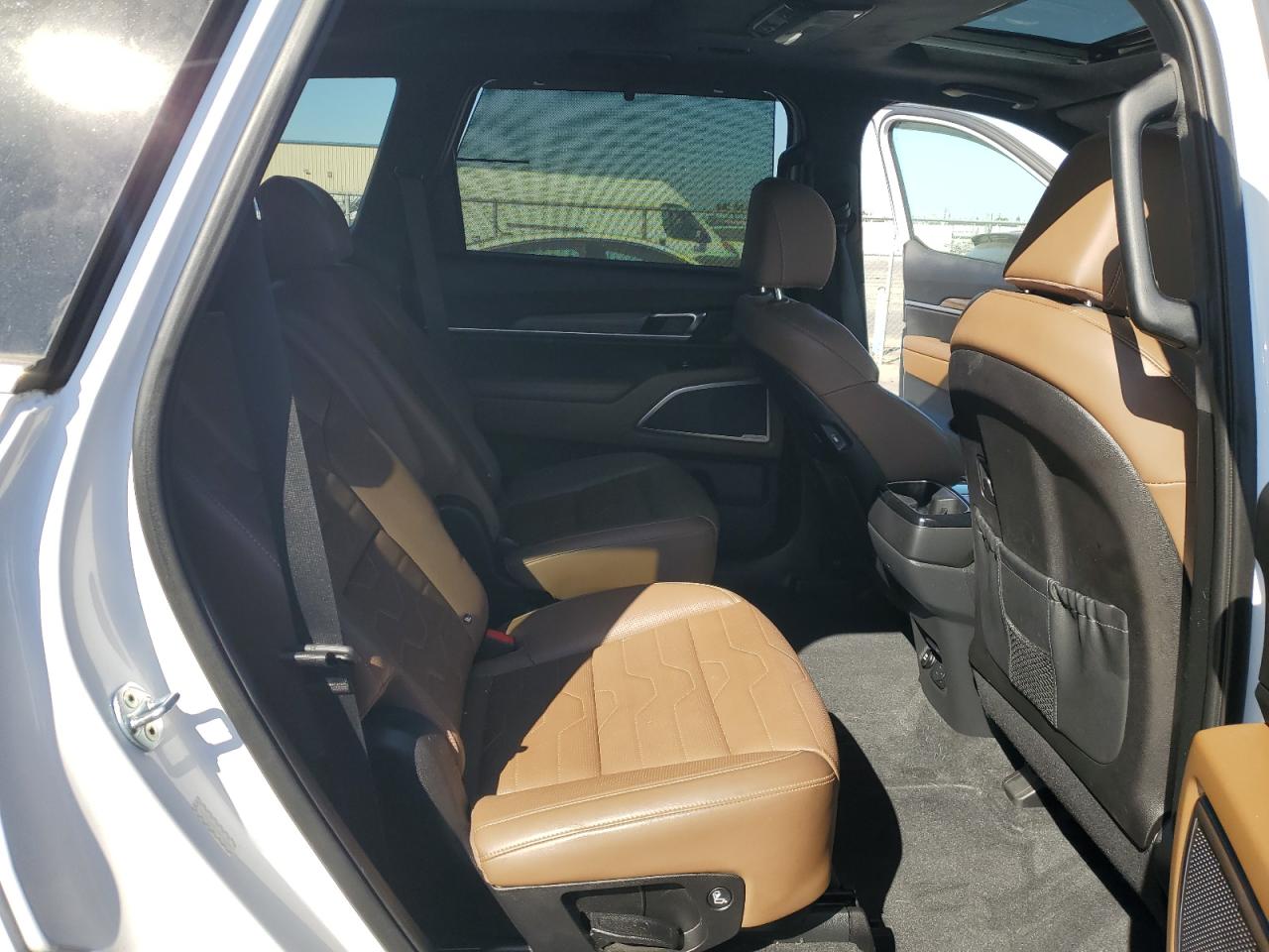 2021 Kia Telluride Sx VIN: 5XYP5DHC1MG165089 Lot: 80347445