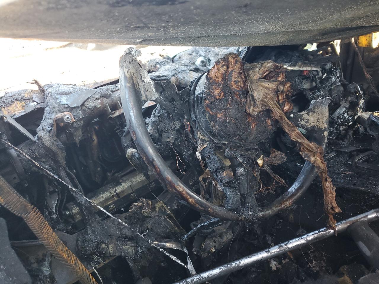 2014 BMW 428 Xi VIN: WBA3N5C54EF716646 Lot: 80958175