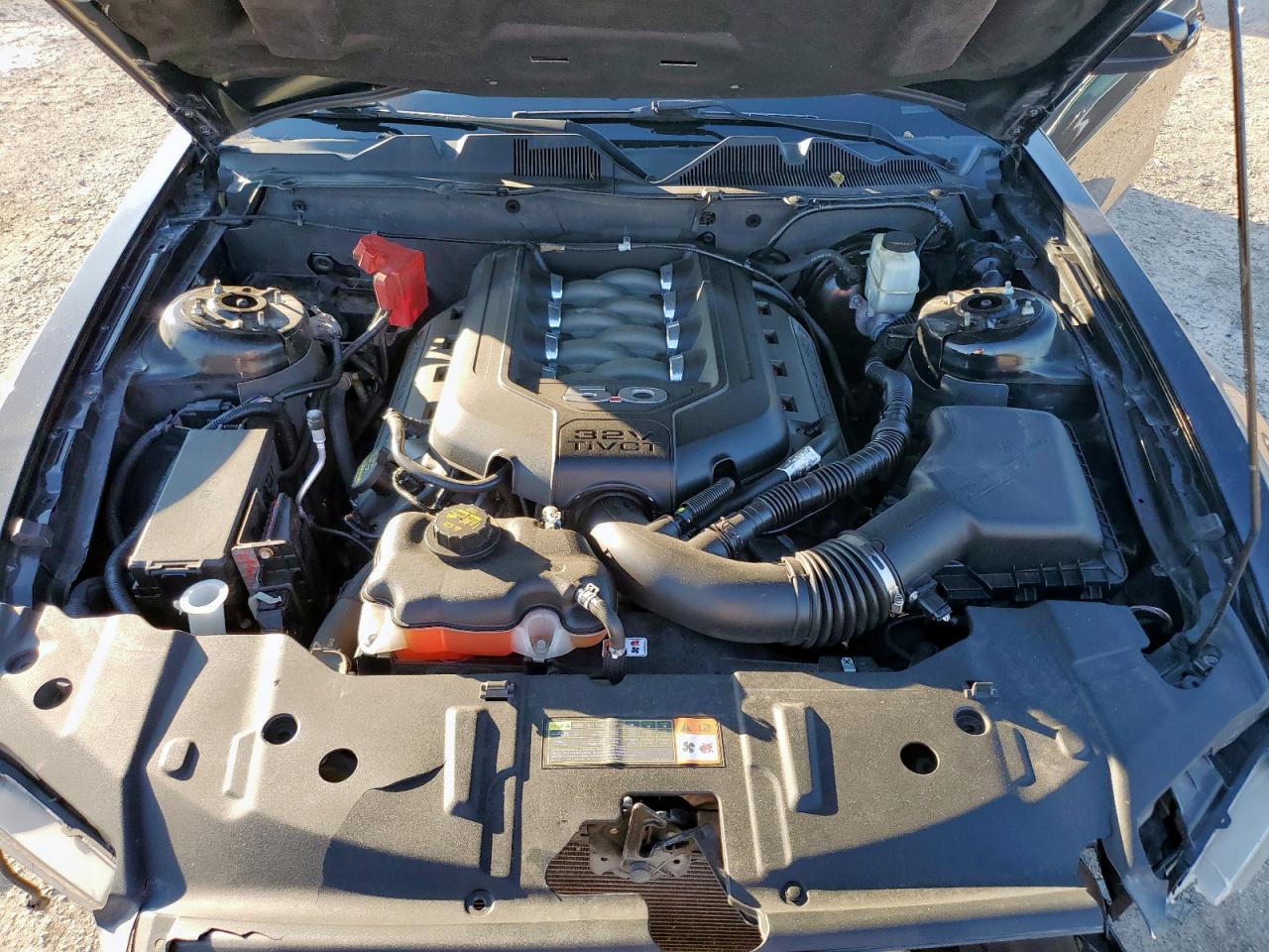 2014 Ford Mustang Gt VIN: 1ZVBP8CF0E5334555 Lot: 84552865