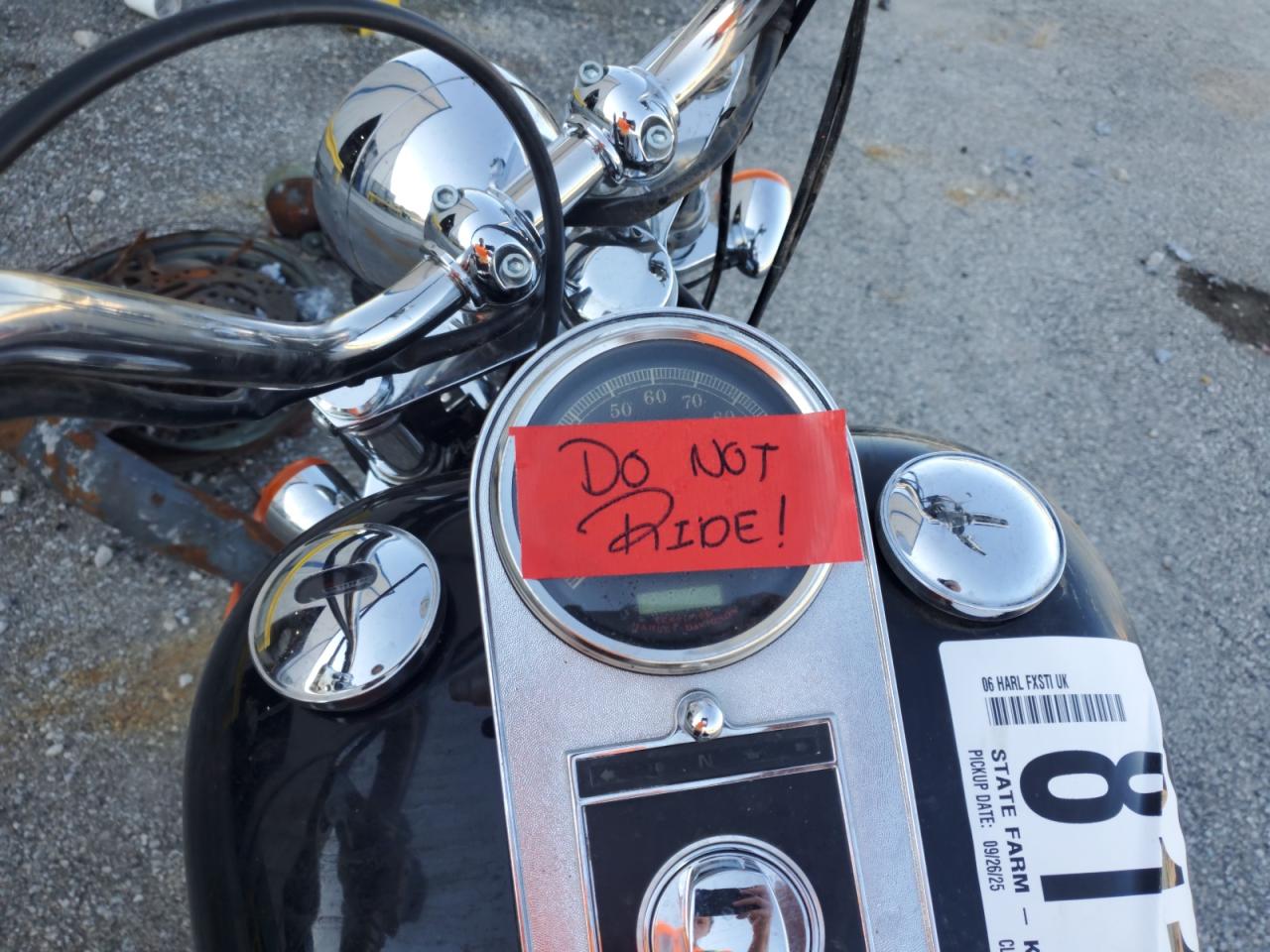 2006 Harley-Davidson Fxsti VIN: 1HD1BVB136Y027882 Lot: 81152195