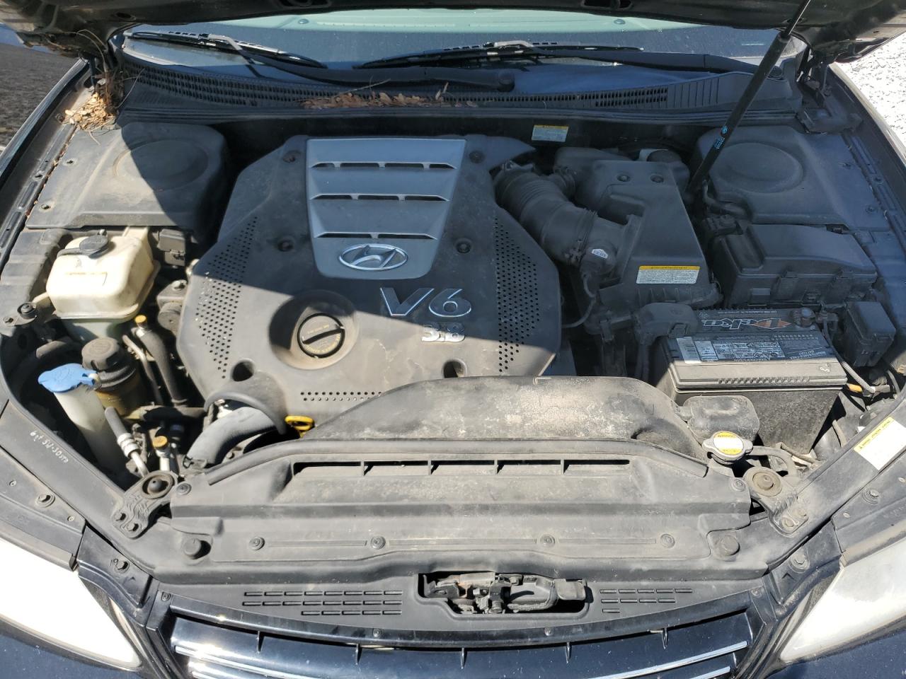 2006 Hyundai Azera Se VIN: KMHFC46F86A118980 Lot: 70759875