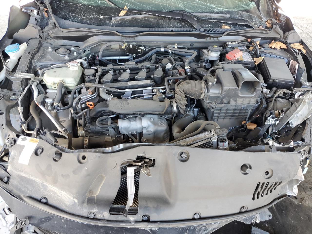 2020 Honda Civic Ex VIN: 19XFC1F38LE202704 Lot: 80557665