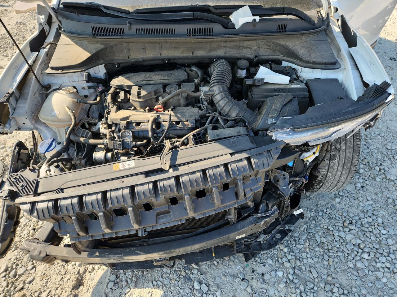 2022 Hyundai Kona Limited VIN: KM8K53A30NU879290 Lot: 80987045