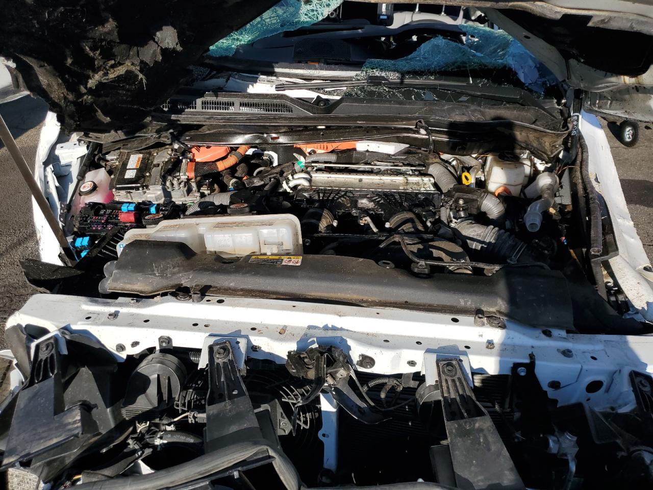 2024 Toyota Tundra Crewmax Limited VIN: 5TFWC5DB7RX065569 Lot: 82104845
