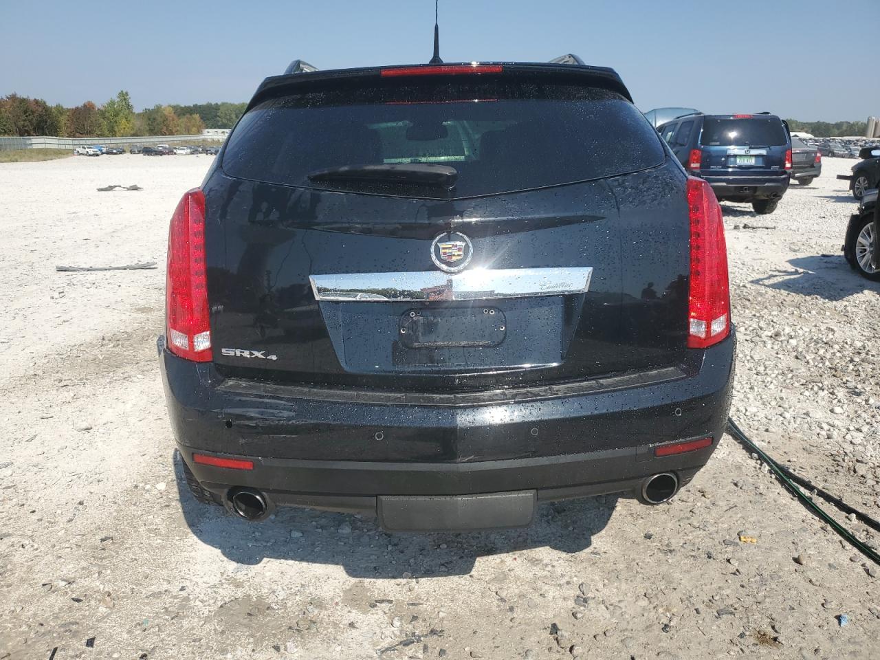 2011 Cadillac Srx Luxury Collection VIN: 3GYFNDEY7BS589779 Lot: 81025235