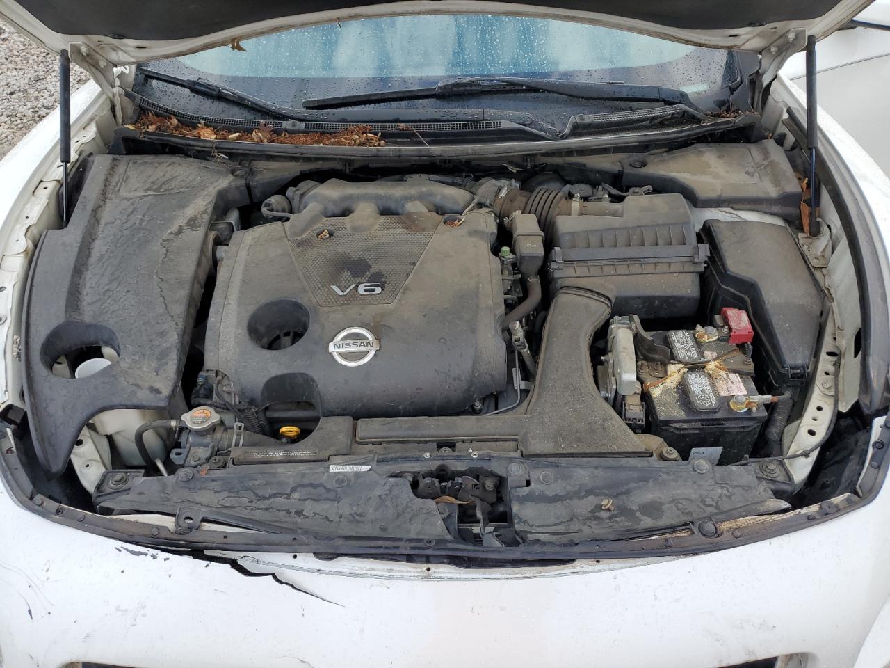 2010 Nissan Maxima S VIN: 1N4AA5AP4AC819397 Lot: 71161765