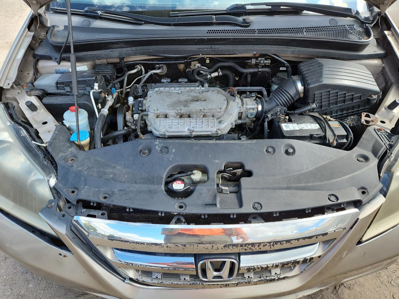 2006 Honda Odyssey Exl VIN: 5FNRL38626B446153 Lot: 70833965