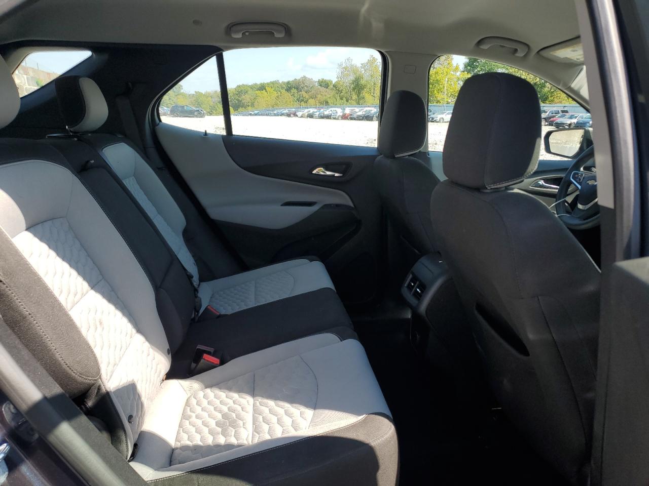 2018 Chevrolet Equinox Ls VIN: 3GNAXHEV0JL101991 Lot: 81845955