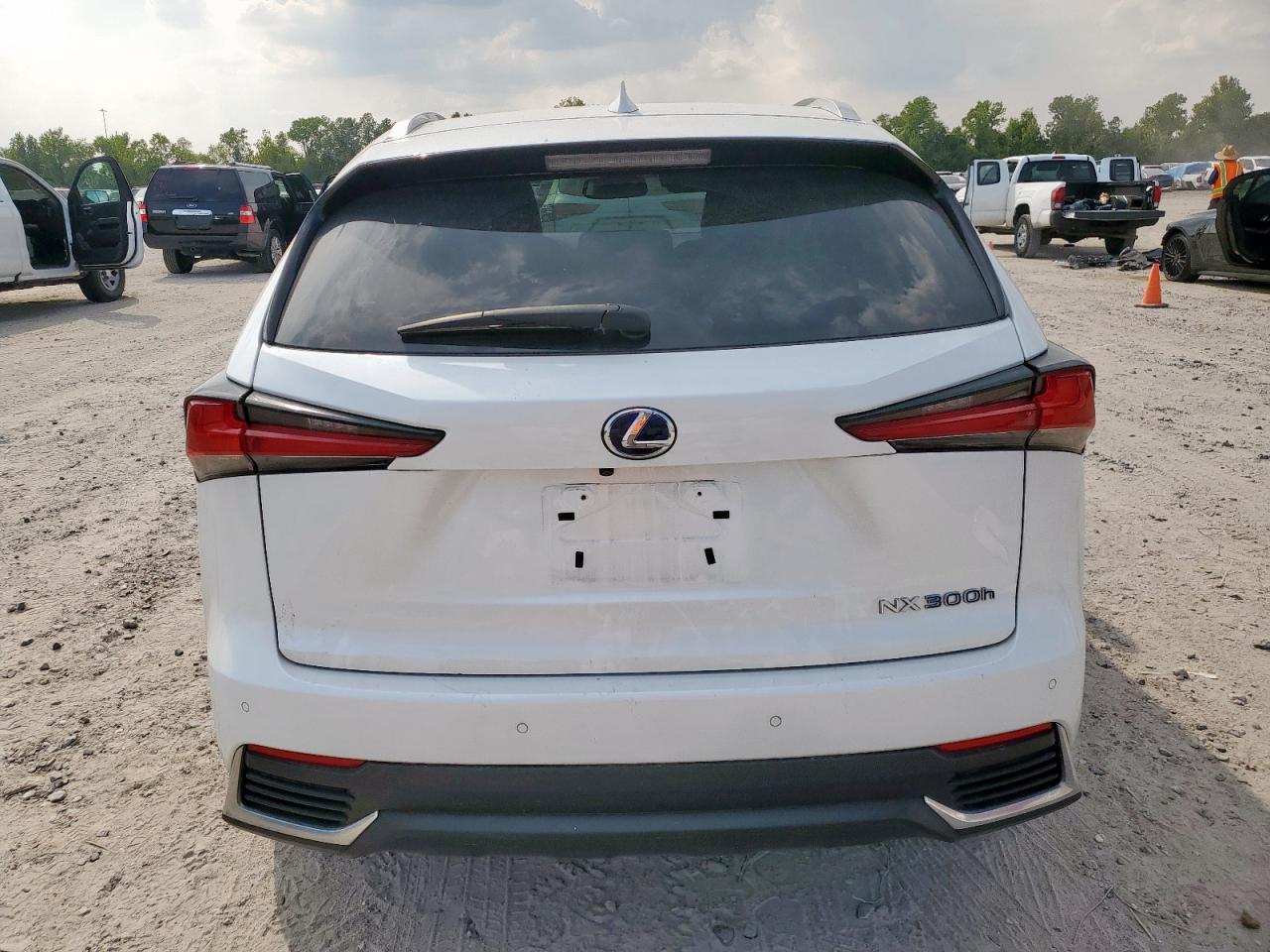 2018 Lexus Nx 300H VIN: JTJBJRBZ3J2083433 Lot: 80924475