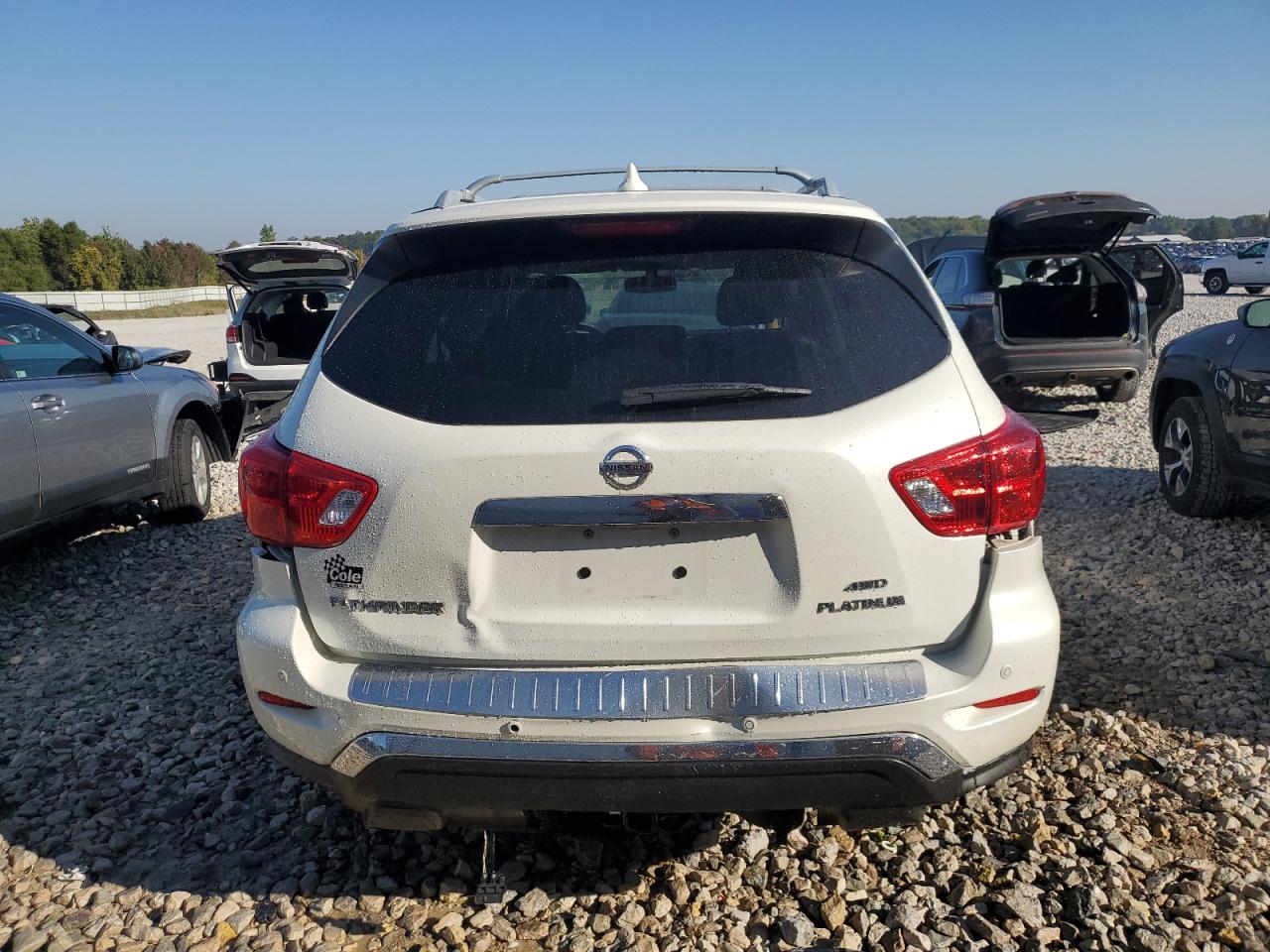 2020 Nissan Pathfinder Platinum VIN: 5N1DR2DM6LC597654 Lot: 80572755