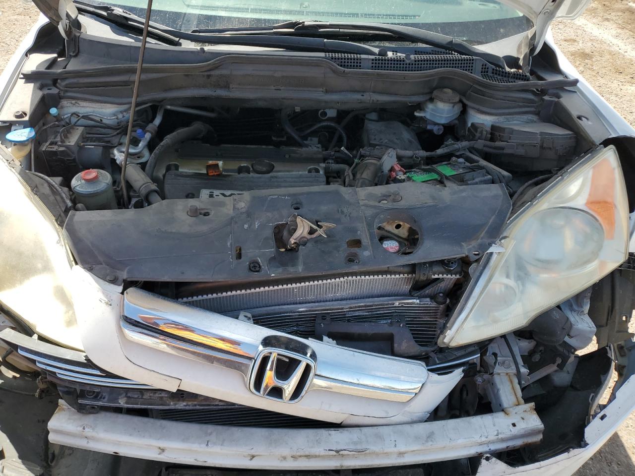 2007 Honda Cr-V Exl VIN: JHLRE48787C084923 Lot: 80668635