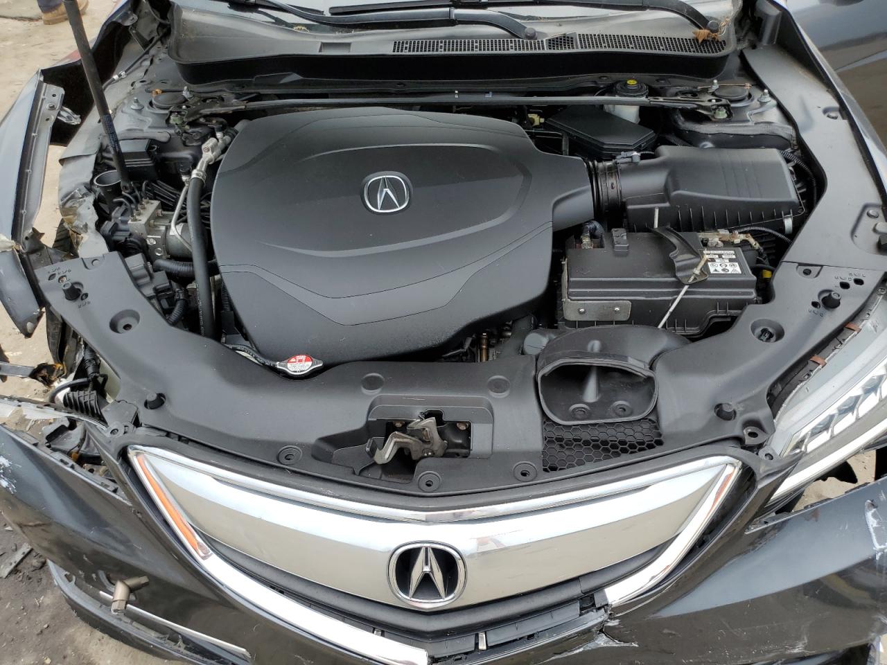 2016 Acura Tlx VIN: 19UUB2F35GA009517 Lot: 82113835