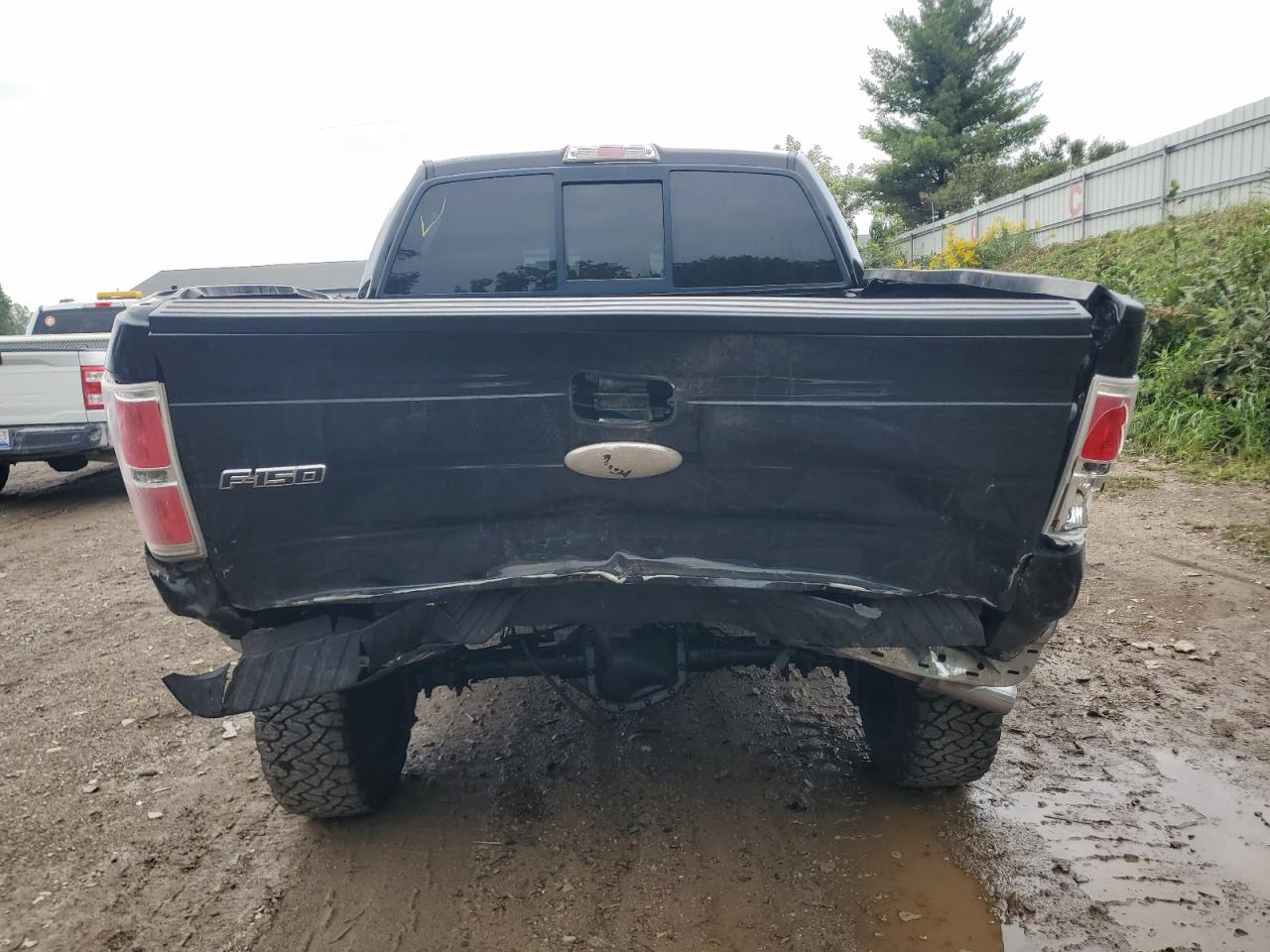 2011 Ford F150 Supercrew VIN: 1FTFW1ET0BFB01508 Lot: 81420595