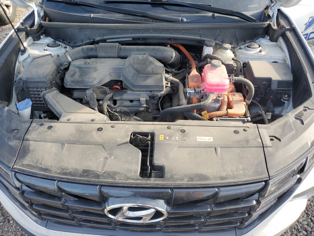 2022 Hyundai Tucson Blue VIN: KM8JBCA11NU066804 Lot: 80804165