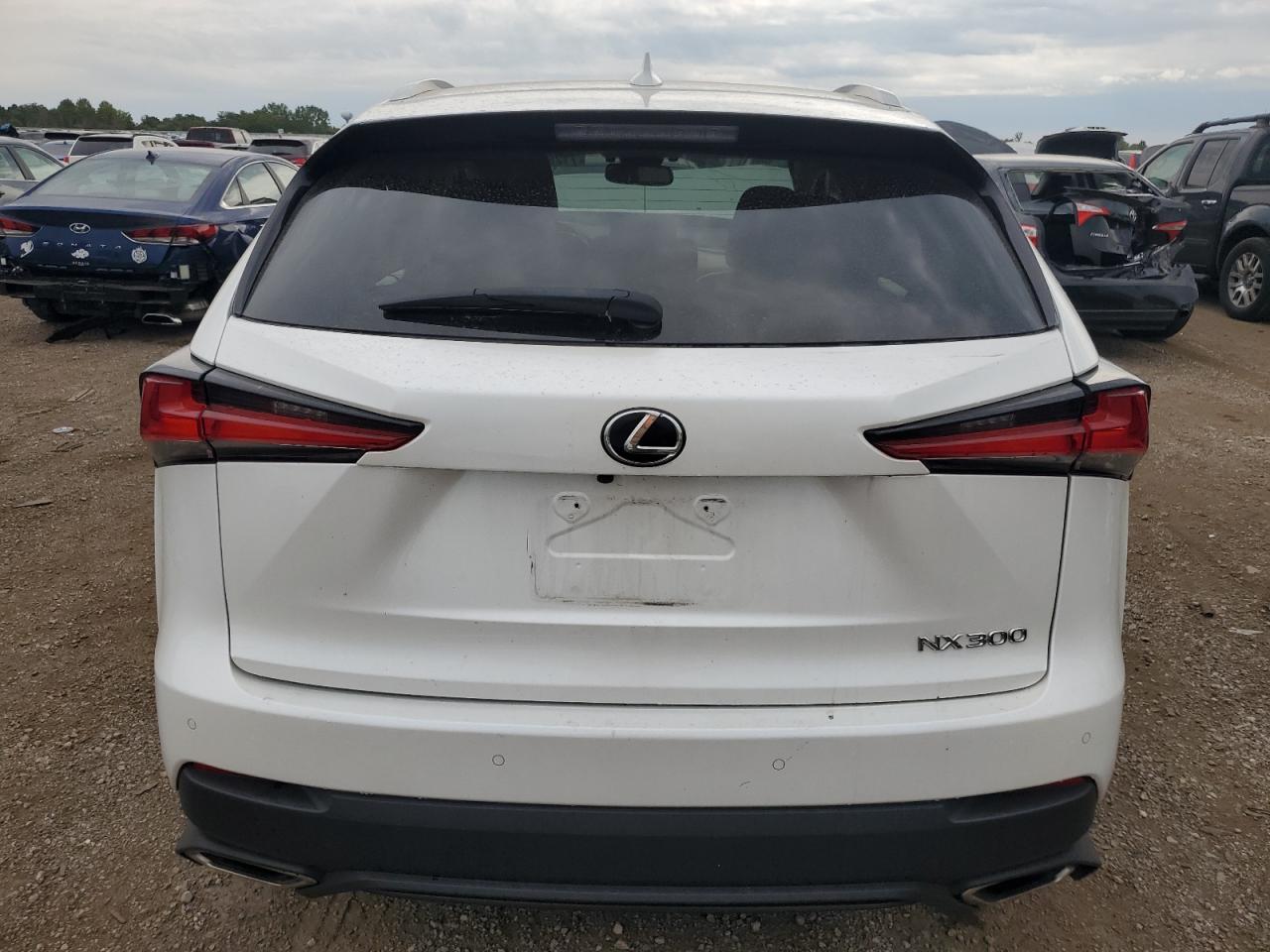 2019 Lexus Nx 300 Base VIN: JTJBARBZ2K2190829 Lot: 71251695