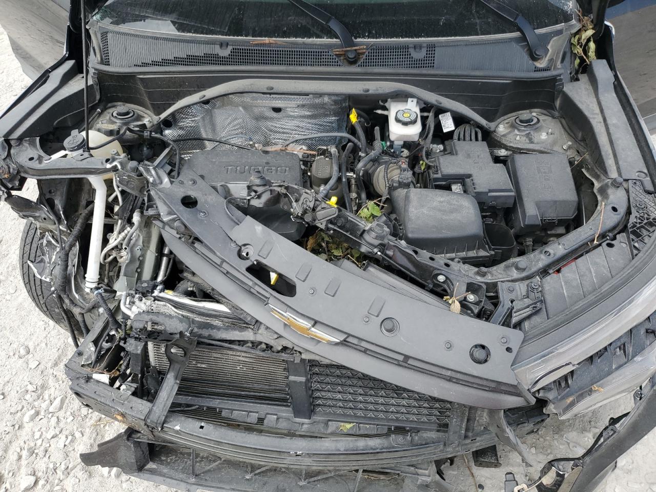 2023 Chevrolet Trailblazer Activ VIN: KL79MSSL1PB044633 Lot: 71657415