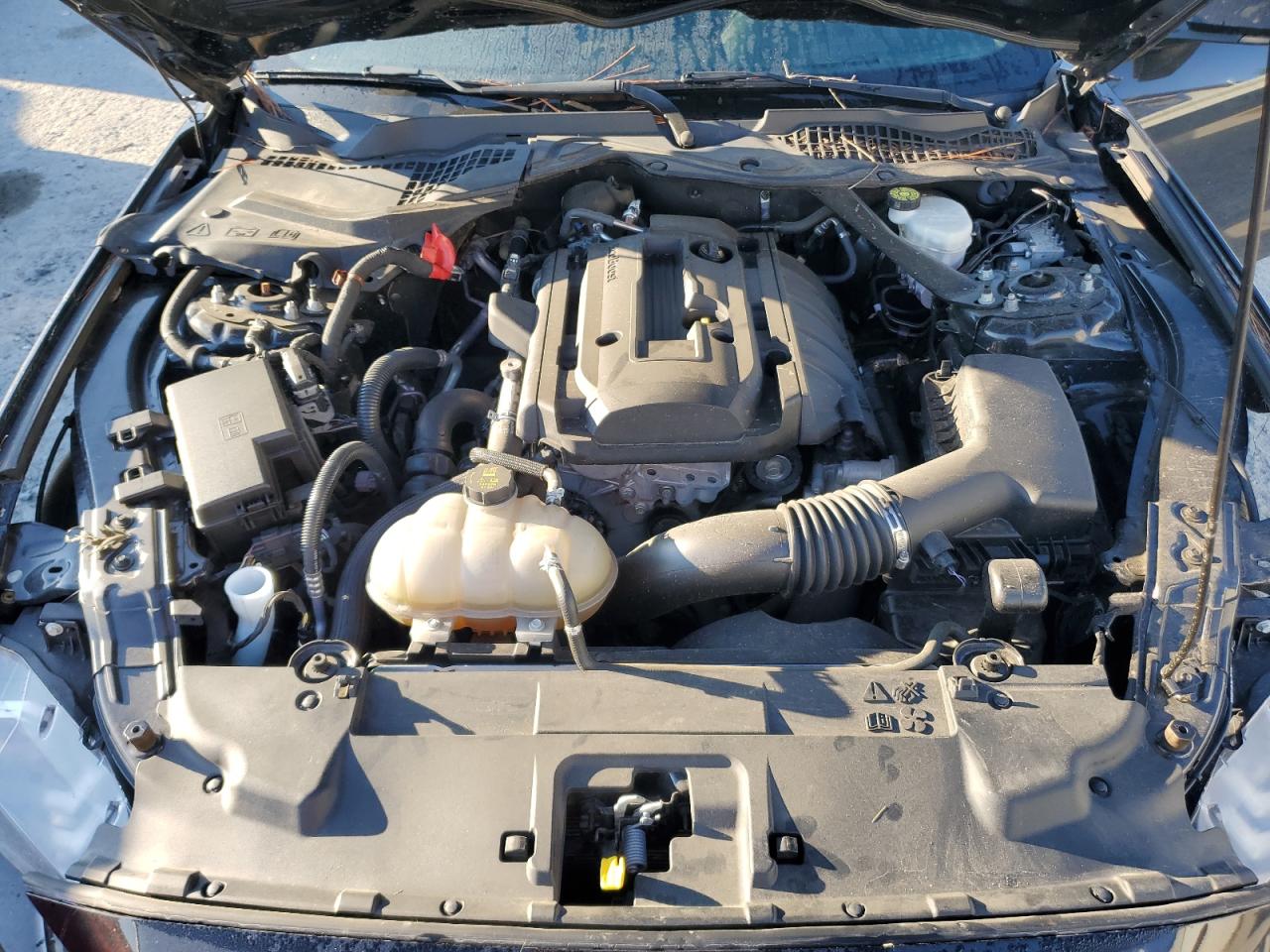 2020 Ford Mustang VIN: 1FATP8UH1L5145519 Lot: 81524195