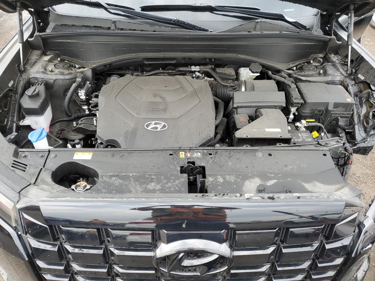 2025 Hyundai Palisade Xrt VIN: KM8R3DGE2SU831160 Lot: 80966065