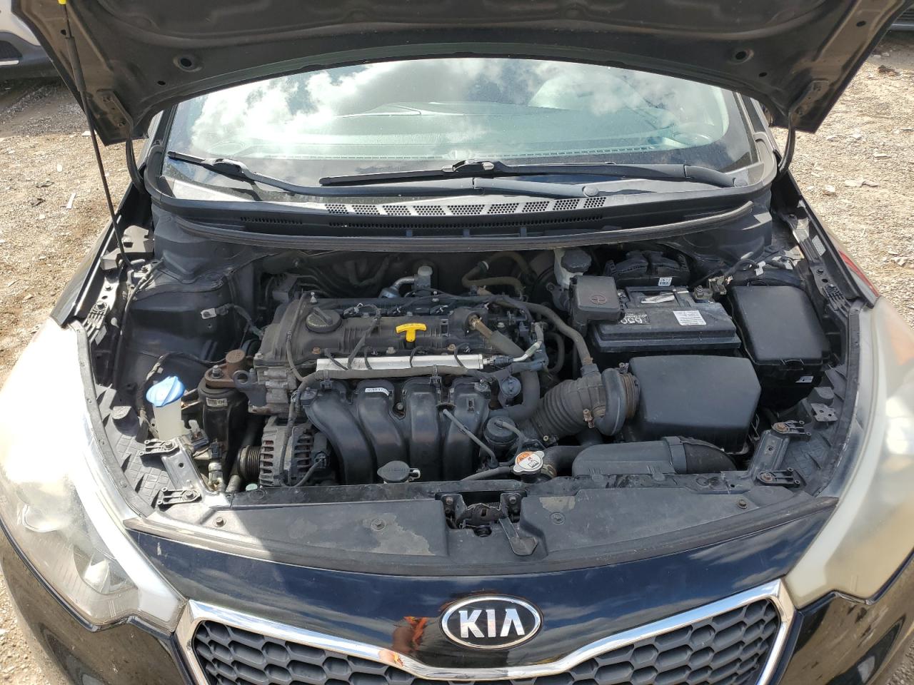 2016 Kia Forte Lx VIN: KNAFK4A63G5455885 Lot: 70991775