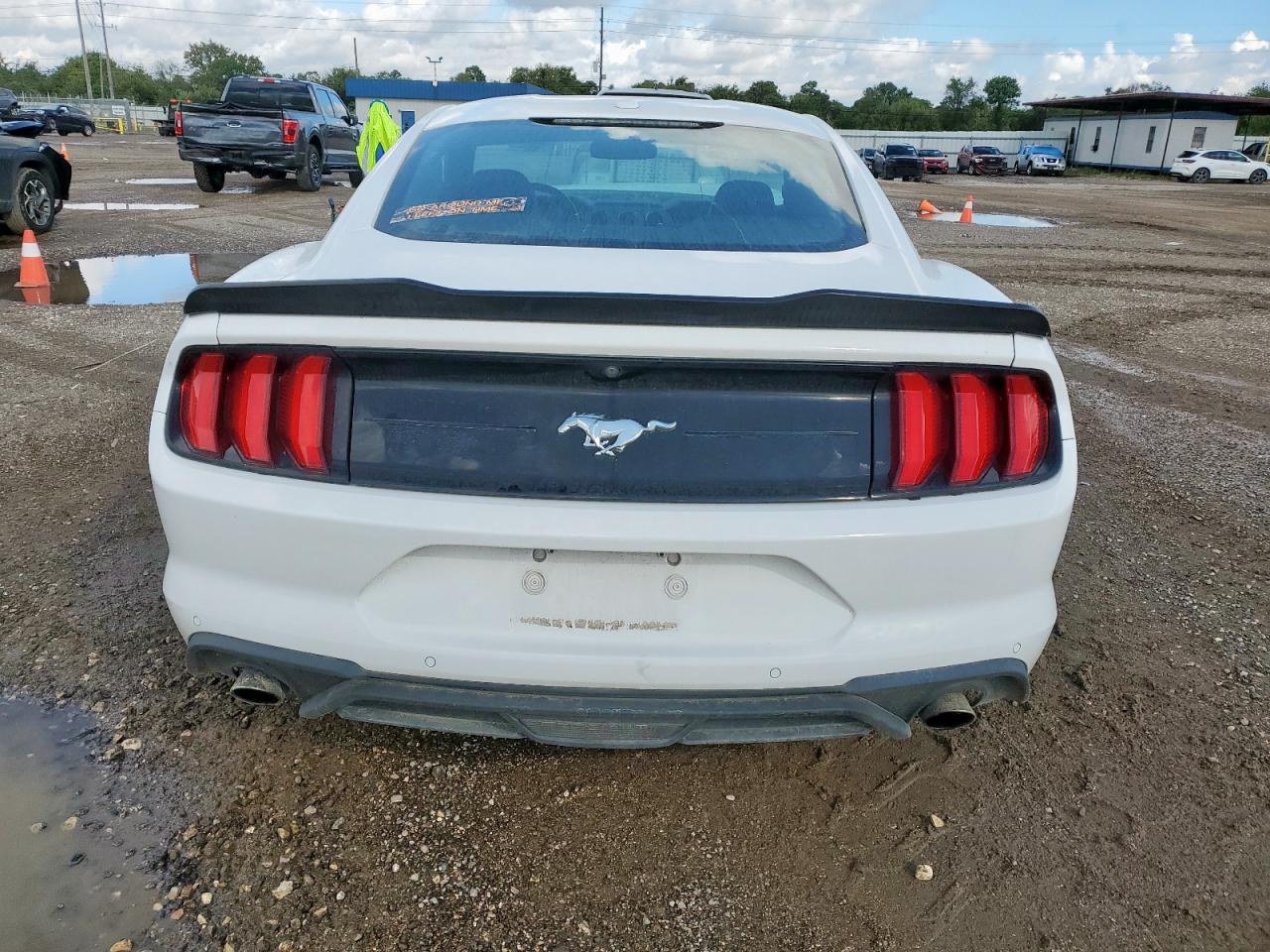 2018 Ford Mustang VIN: 1FA6P8TH7J5128901 Lot: 81086665