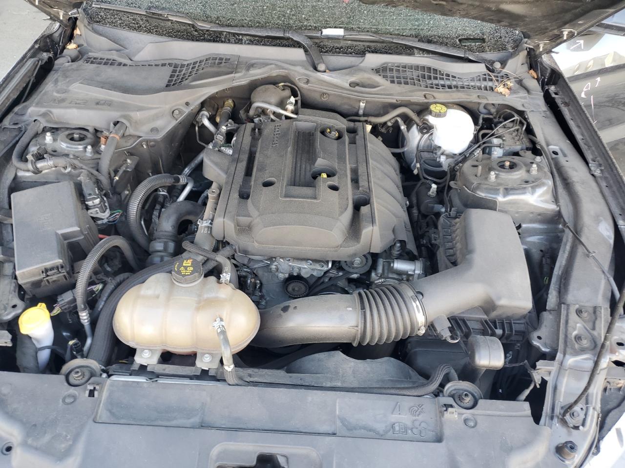 2019 Ford Mustang VIN: 1FA6P8TH7K5169532 Lot: 81428315