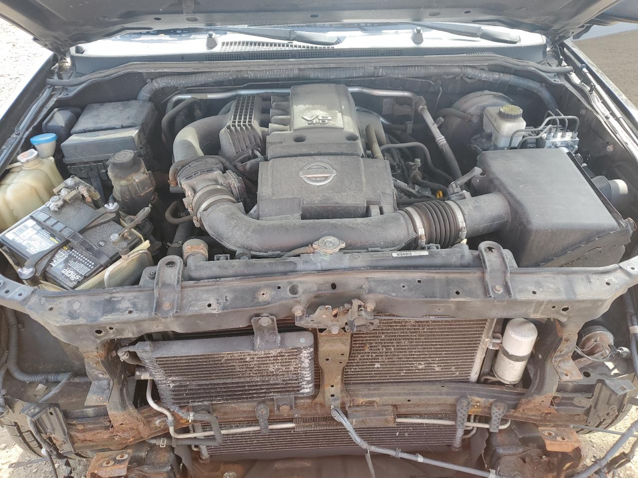 III (D40) III (D40)