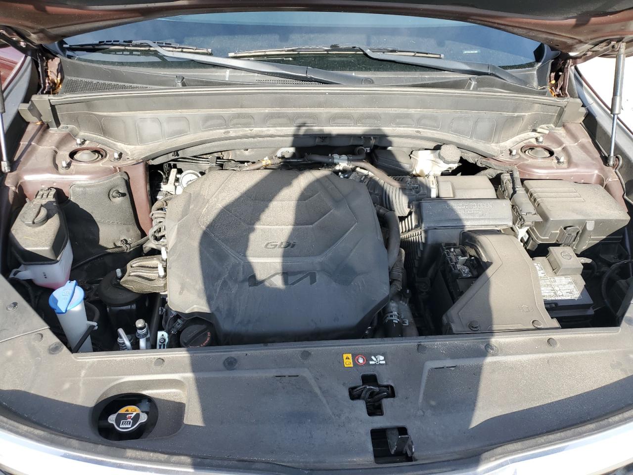 2022 Kia Telluride S VIN: 5XYP64HC4NG223887 Lot: 71543955