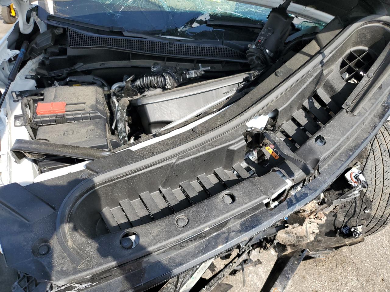 2024 Chevrolet Tahoe K1500 High Country VIN: 1GNSKTKL0RR243710 Lot: 80878885