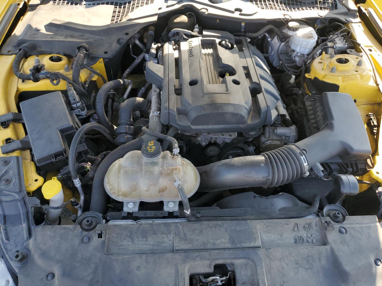 2018 Ford Mustang VIN: 1FA6P8TH7J5166659 Lot: 80488615