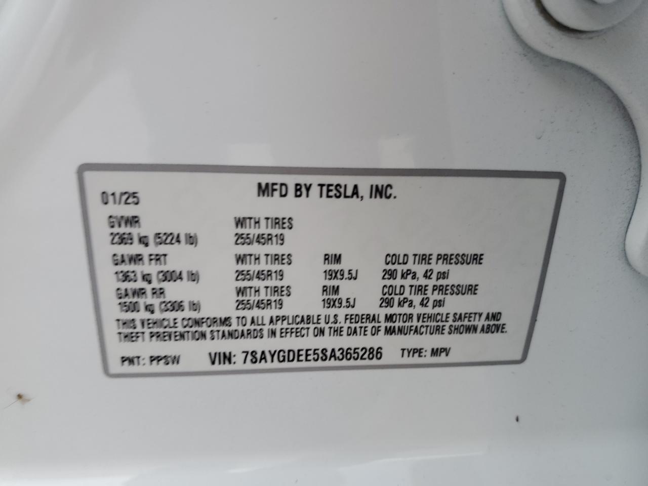 2025 Tesla Model Y VIN: 7SAYGDEE5SA365286 Lot: 71881925