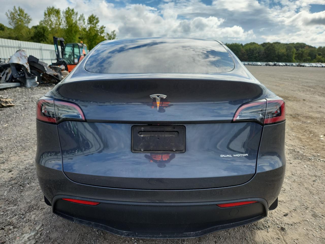 2023 Tesla Model Y VIN: 7SAYGDEE1PF619151 Lot: 81265535