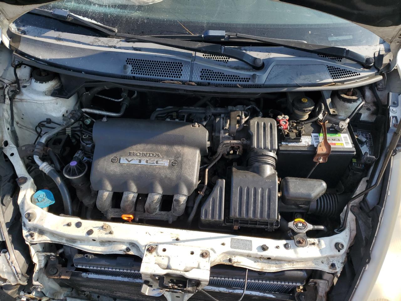 2007 Honda Fit S VIN: JHMGD38697S041558 Lot: 81613285